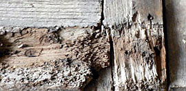 RESTAURATIONEN