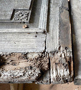 Restaurationen