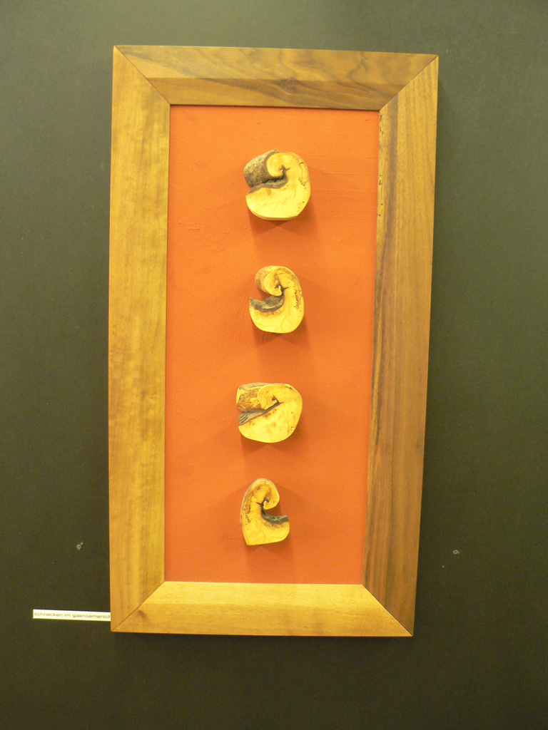 Tiere_Schnecken