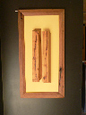 Architektur_Buche1