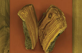 Holzbilder